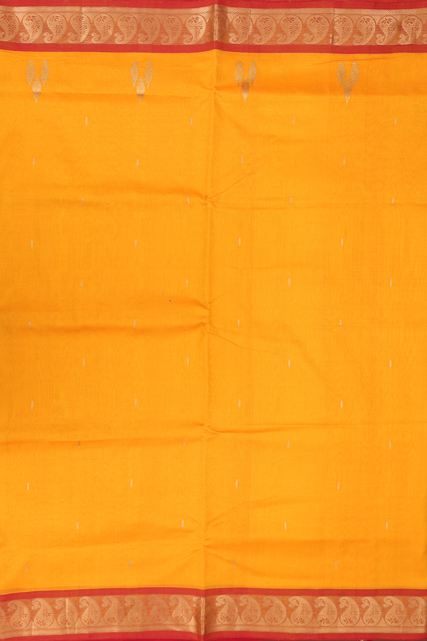 Nine Yards Silk Cotton Saree In Royal Orange With Zari Buttis