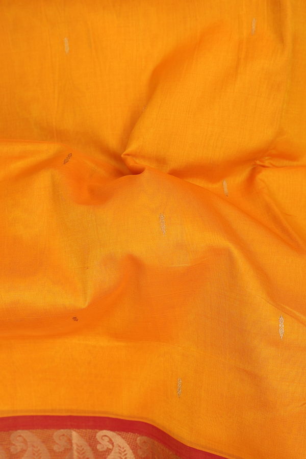 Nine Yards Silk Cotton Saree In Royal Orange With Zari Buttis