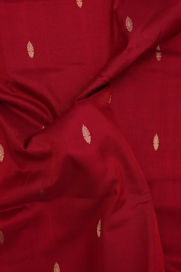 Nine Yards Silk Cotton Saree In Ruby Red With Zari Buttas
