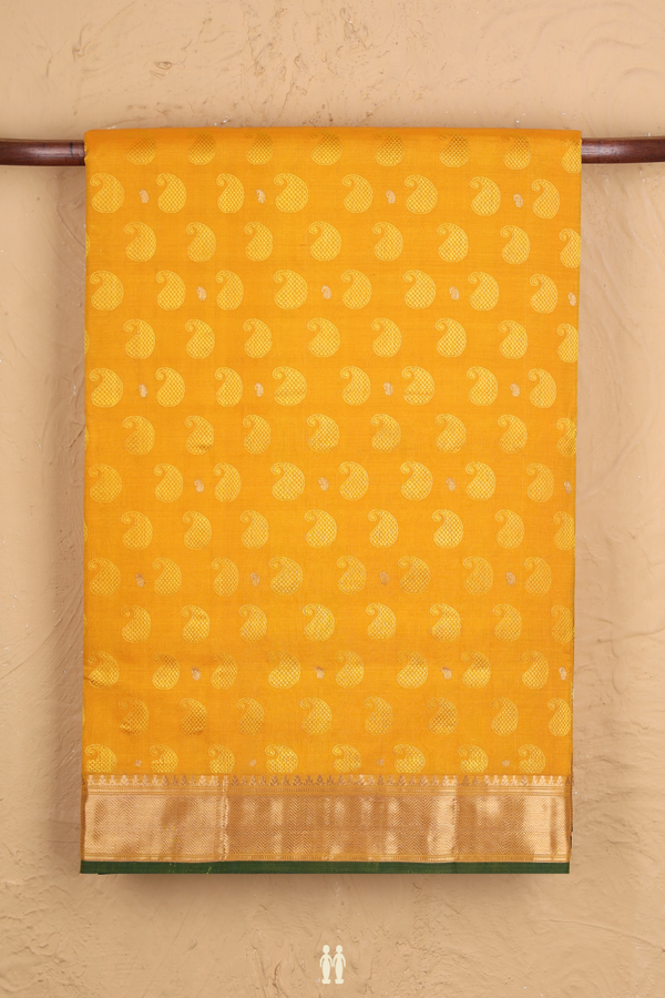 Nine Yards Silk Cotton Saree In Yellow With Paisley Design