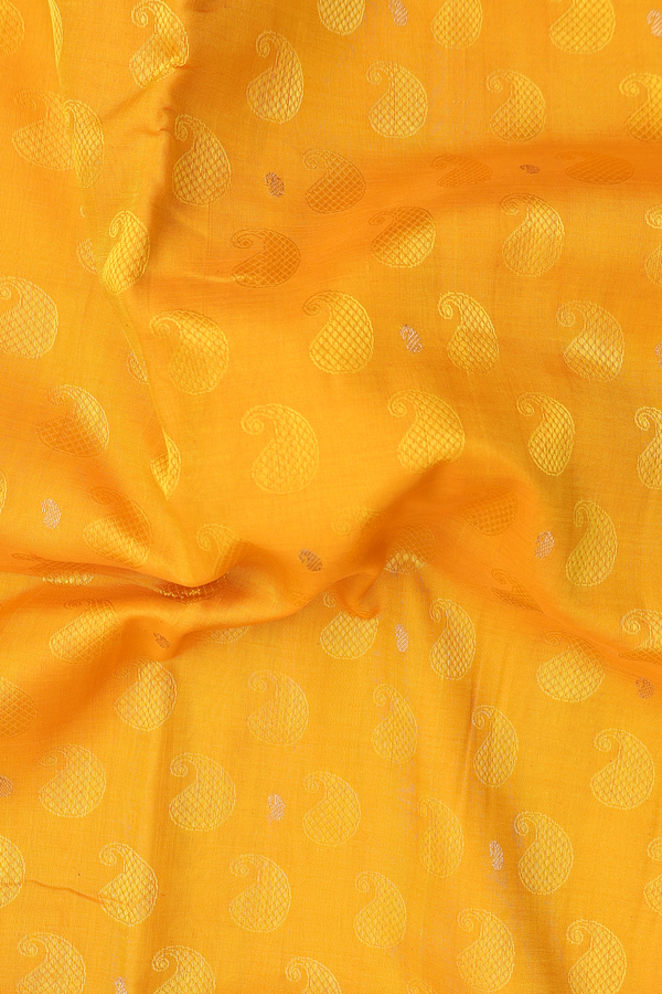Nine Yards Silk Cotton Saree In Yellow With Paisley Design