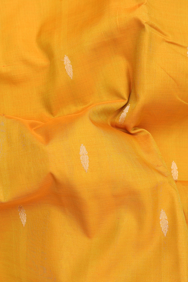 Nine Yards Silk Cotton Saree In Yellow With Zari Buttas