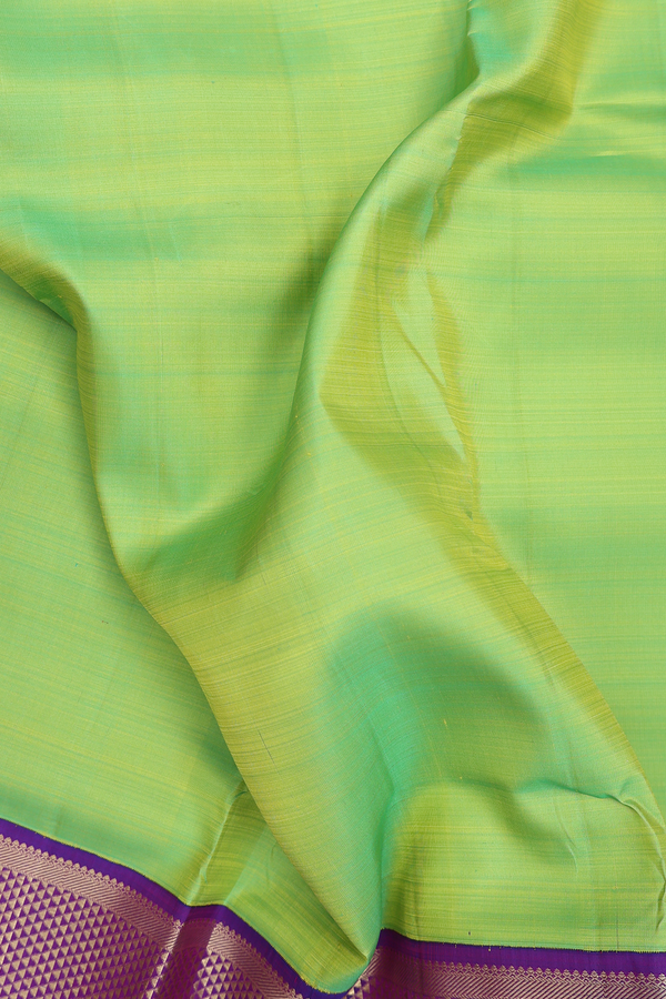 Nine Yards Silk Saree In Green With Arai Maadam Border