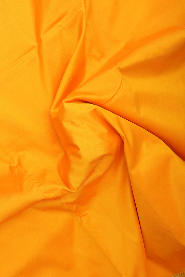 Nine Yards Silk Saree In Marigold Orange With Zari Border