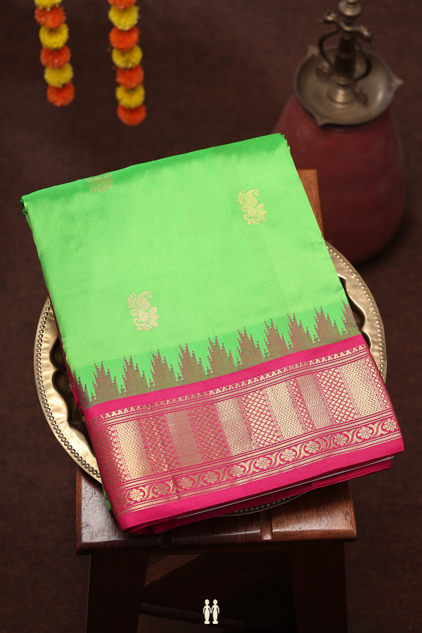 Nine Yards Silk Saree In Parrot Green With Paisley Buttas