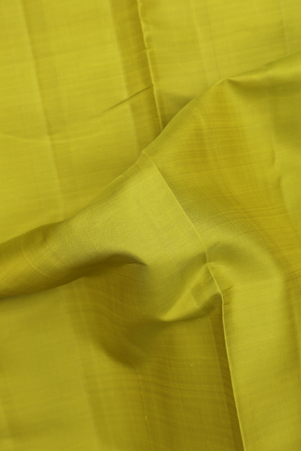 Nine Yards Silk Saree In Pear Green With Twill Weave Border