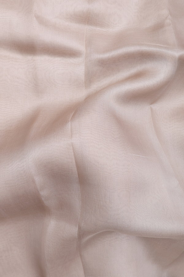 Organza Silk Saree In Brown With Leaf Border