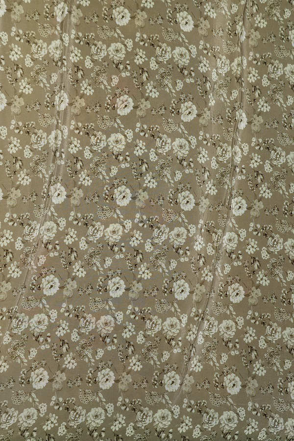 Organza Silk Saree In Olive Green With Floral Design