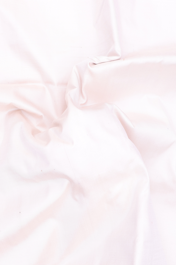 Pochampally Silk Saree In Plain White With Fish Border