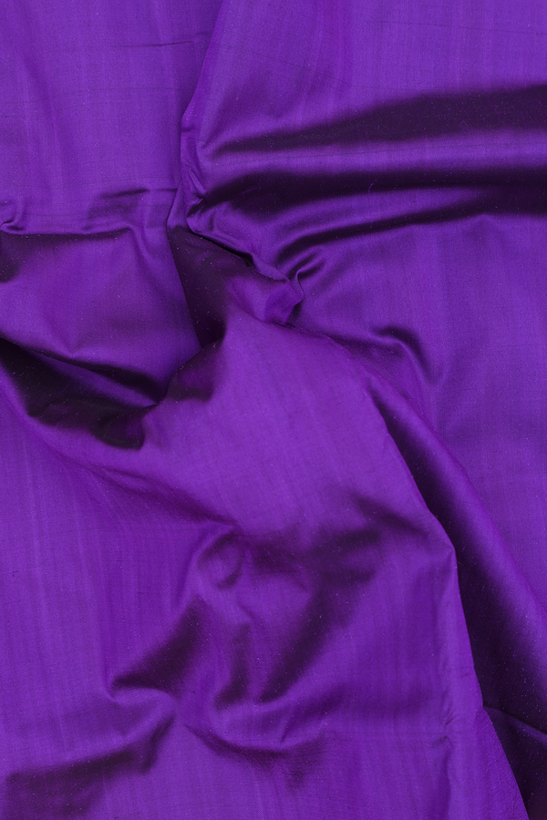 Pochampally Silk Saree In Plain Purple With Temple Border