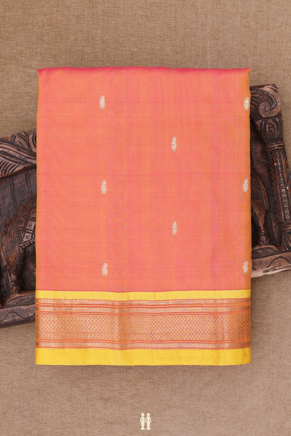 Paithani Silk Saree In Dual Tone With Paisley Buttis