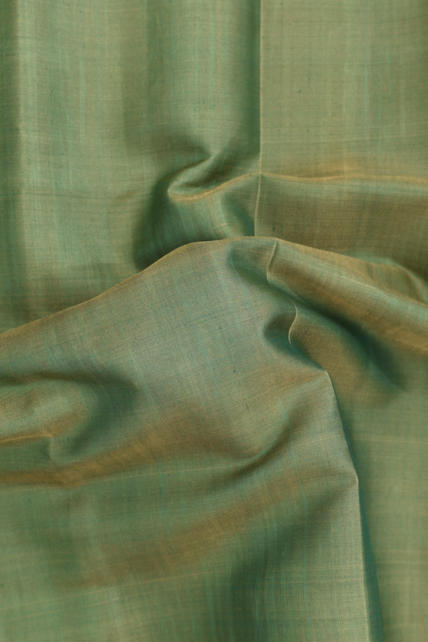 Patola Silk Saree In Plain Green With Printed Border