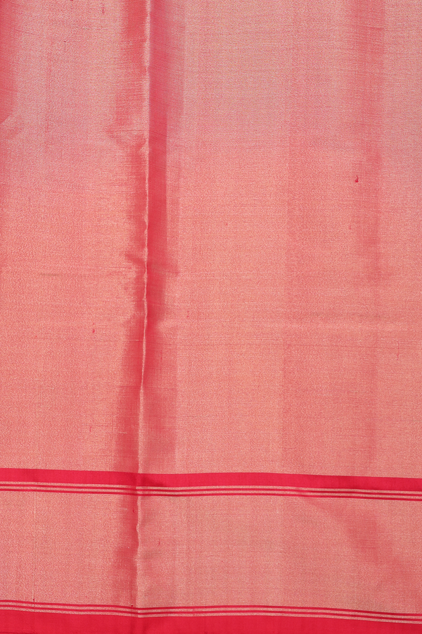 Pochampally Silk Saree In Beige Tissue With Printed Design