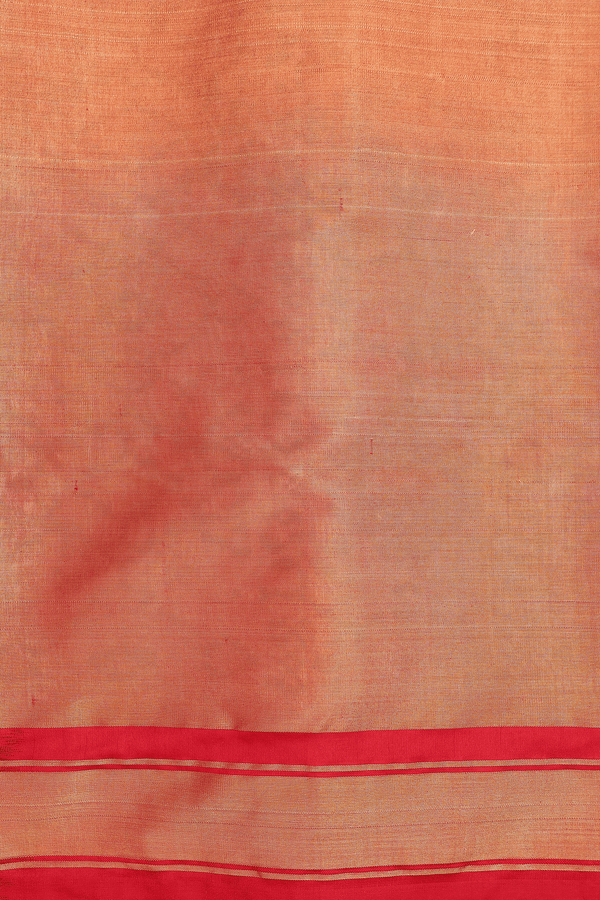 Pochampally Silk Saree In Tissue Off White With Ikat Design