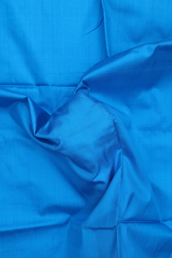 Pochampally Silk Saree In Plain Blue With Contrast Border