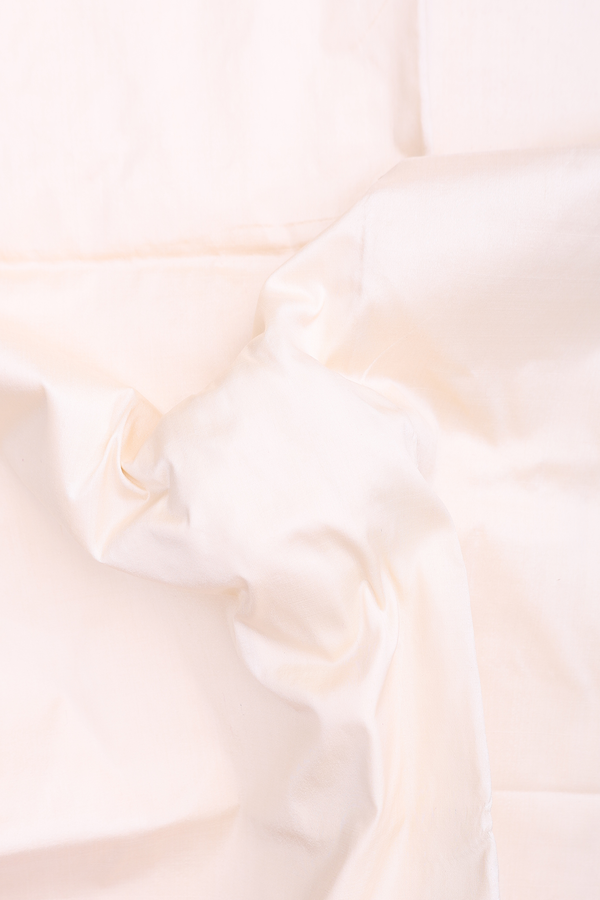 Pochampally Silk Saree In Plain Ivory With Contrast Border