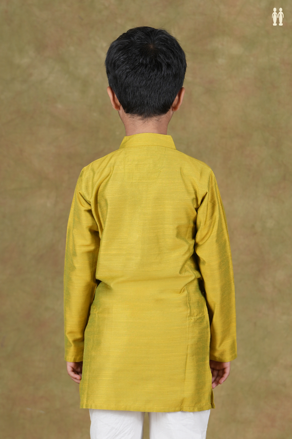 Chinese Collar Plain Green Raw Silk Long Kurta