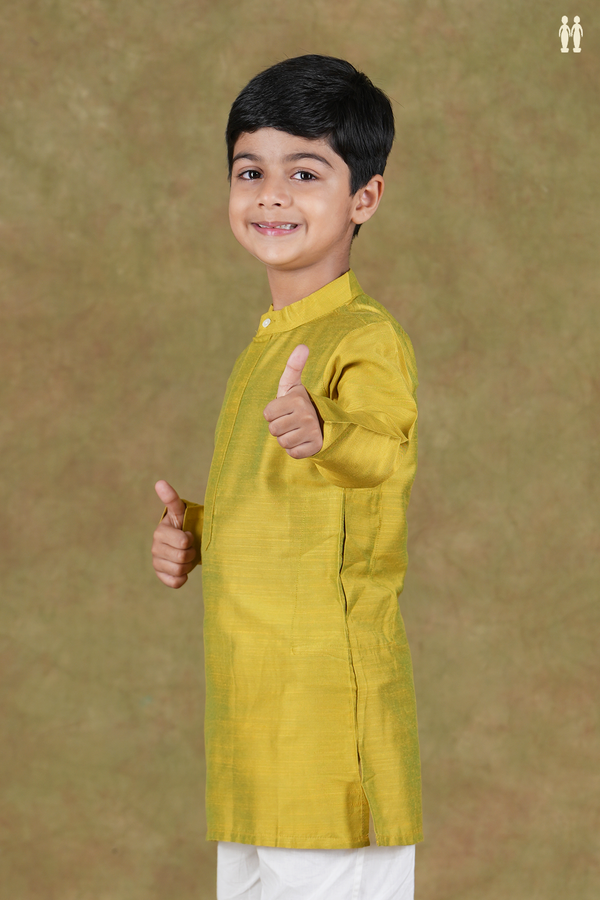 Chinese Collar Plain Green Raw Silk Long Kurta