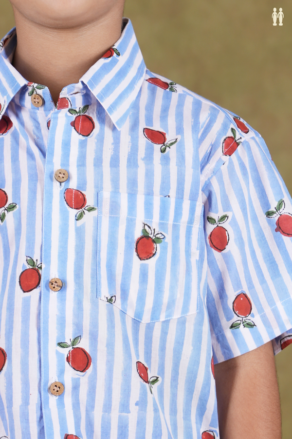 Regular Collar Stripes Design Blue And White Cotton Shirt