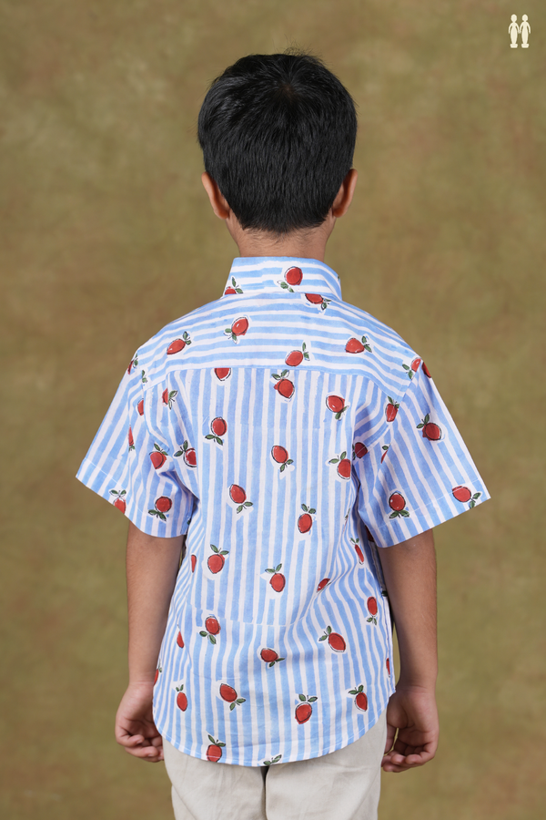 Regular Collar Stripes Design Blue And White Cotton Shirt