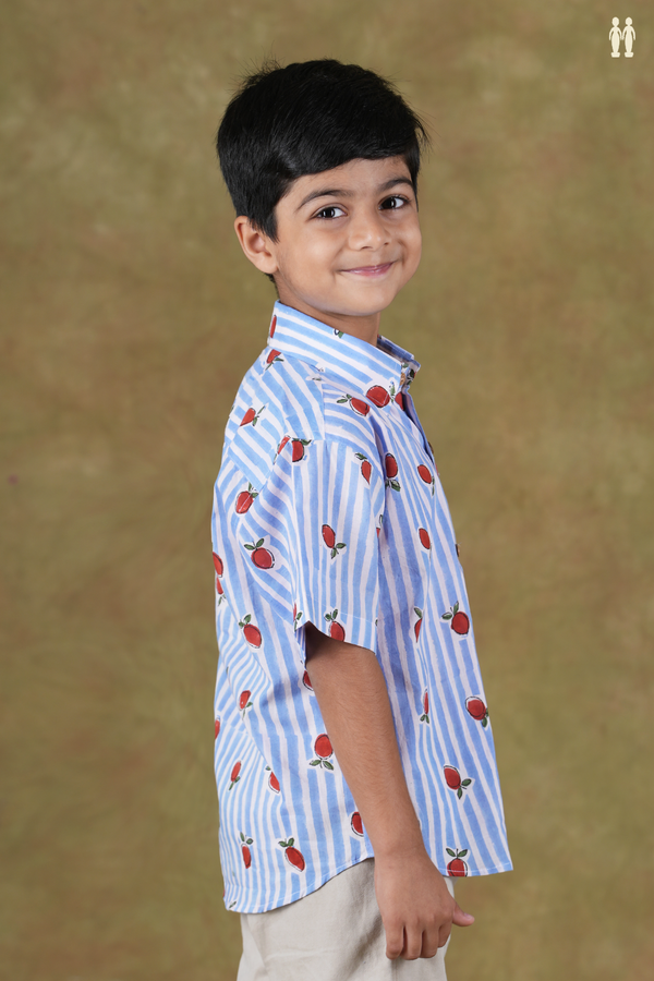 Regular Collar Stripes Design Blue And White Cotton Shirt