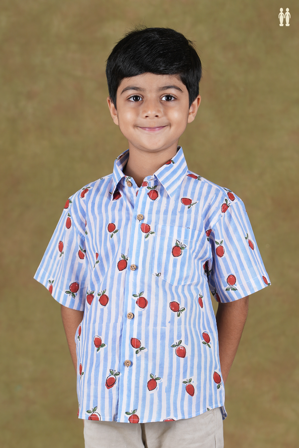 Regular Collar Stripes Design Blue And White Cotton Shirt