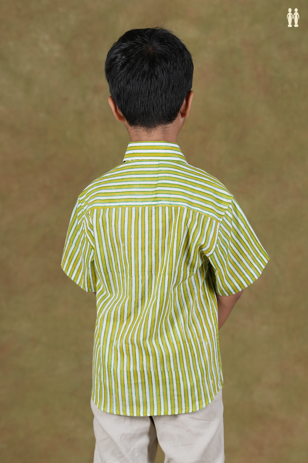 Regular Collar Stripes Design Green And White Cotton Shirts
