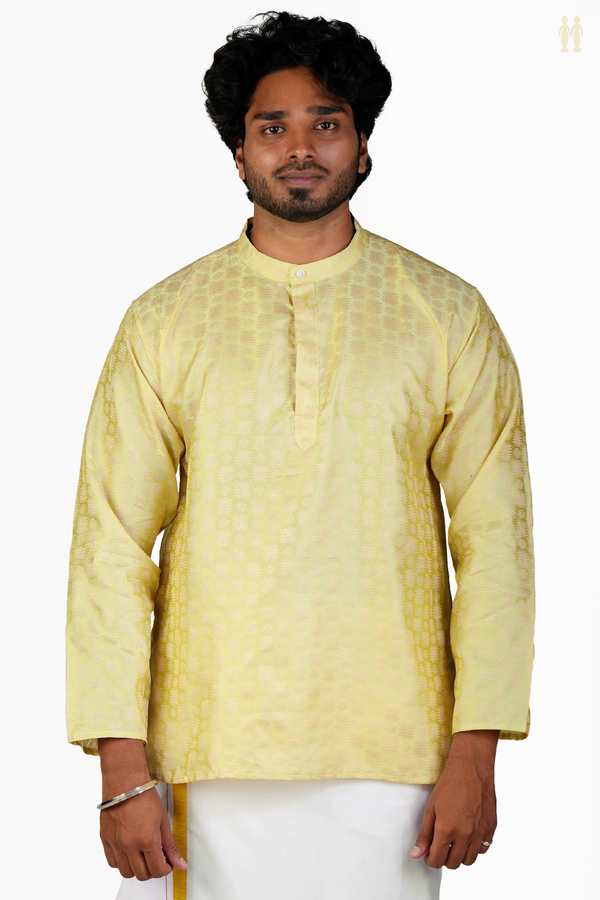 Chinese Collar Threadwork Design Green Beige Banarasi Short Kurta