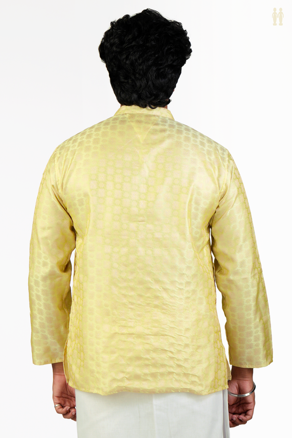 Chinese Collar Threadwork Design Green Beige Banarasi Short Kurta