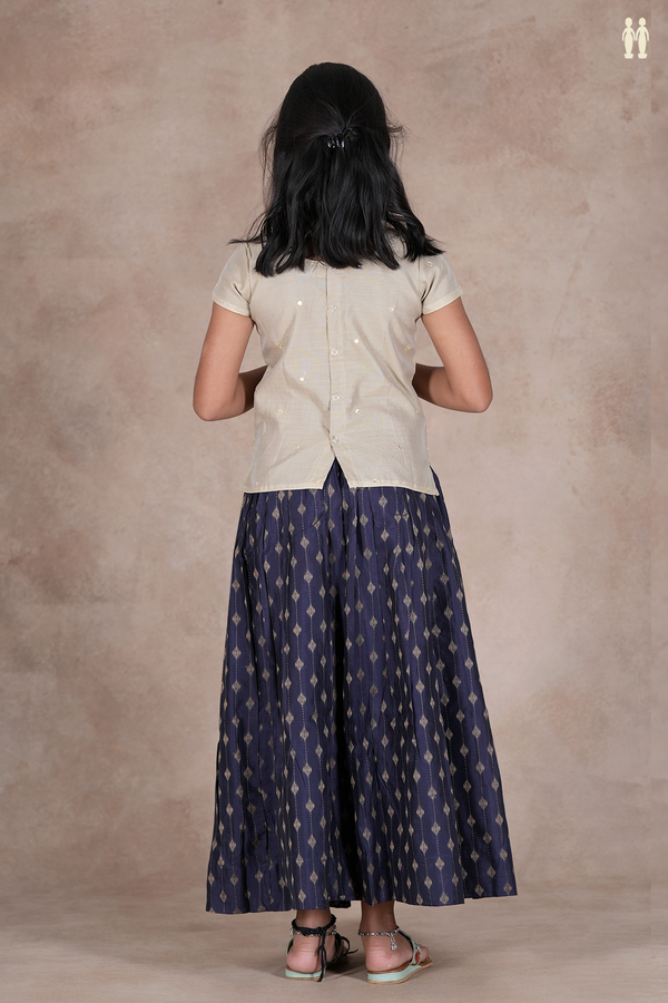 Mirror Buttis Pastel Brown And Blue Cotton Pavadai Sattai
