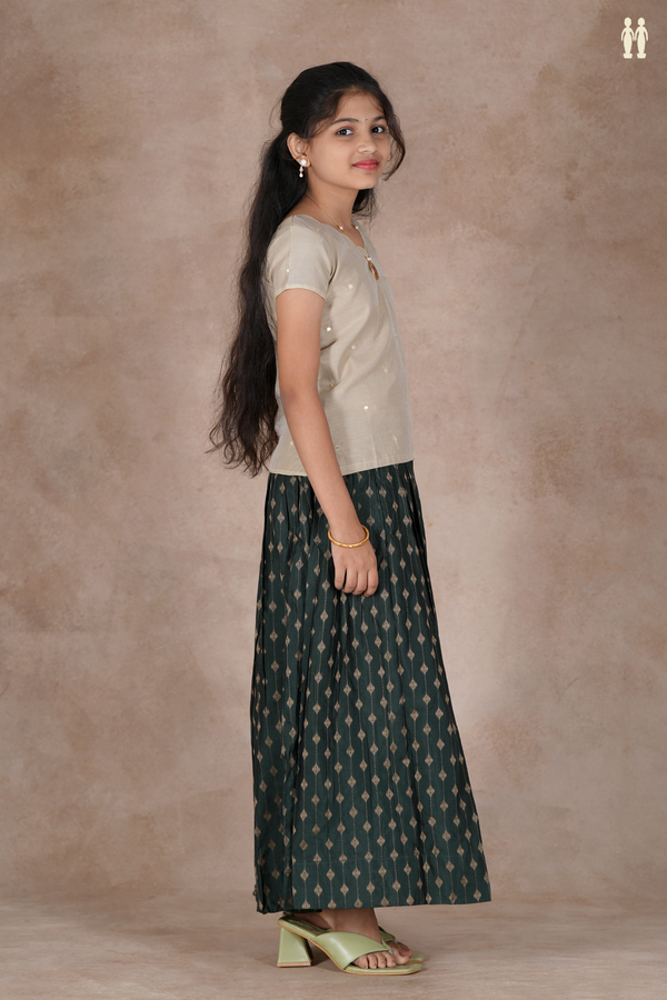 Mirror Buttis Pastel Brown And Green Cotton Pavadai Sattai
