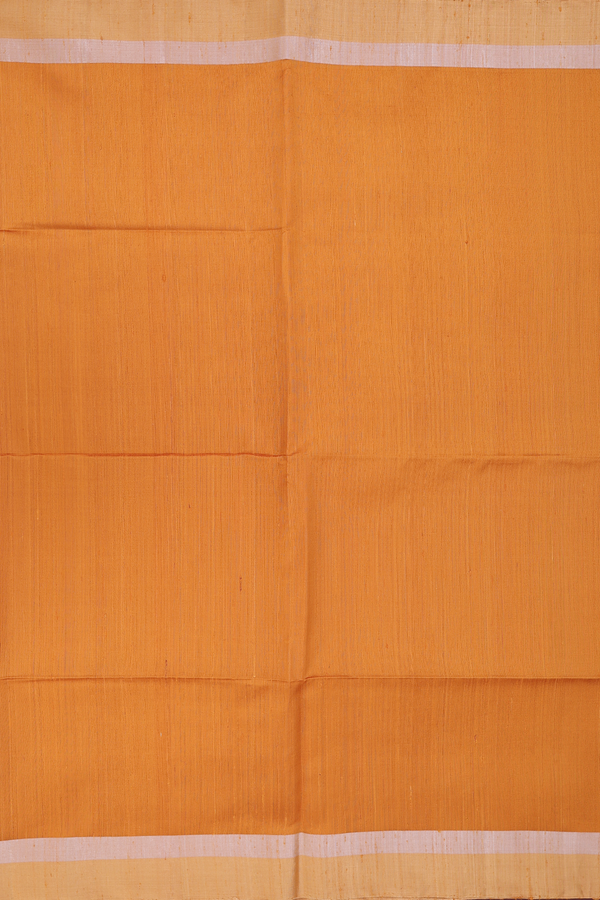 Raw Silk Saree In Plain Honey Orange With Zari Border