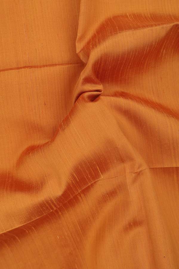 Raw Silk Saree In Plain Honey Orange With Zari Border