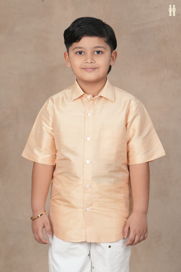 Regular Collar Plain Ivory Raw Silk Shirt