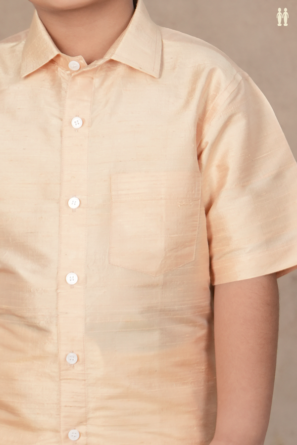 Regular Collar Plain Ivory Raw Silk Shirt