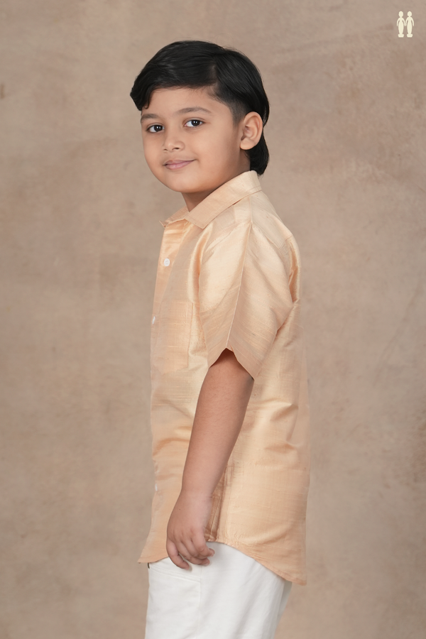 Regular Collar Plain Ivory Raw Silk Shirt