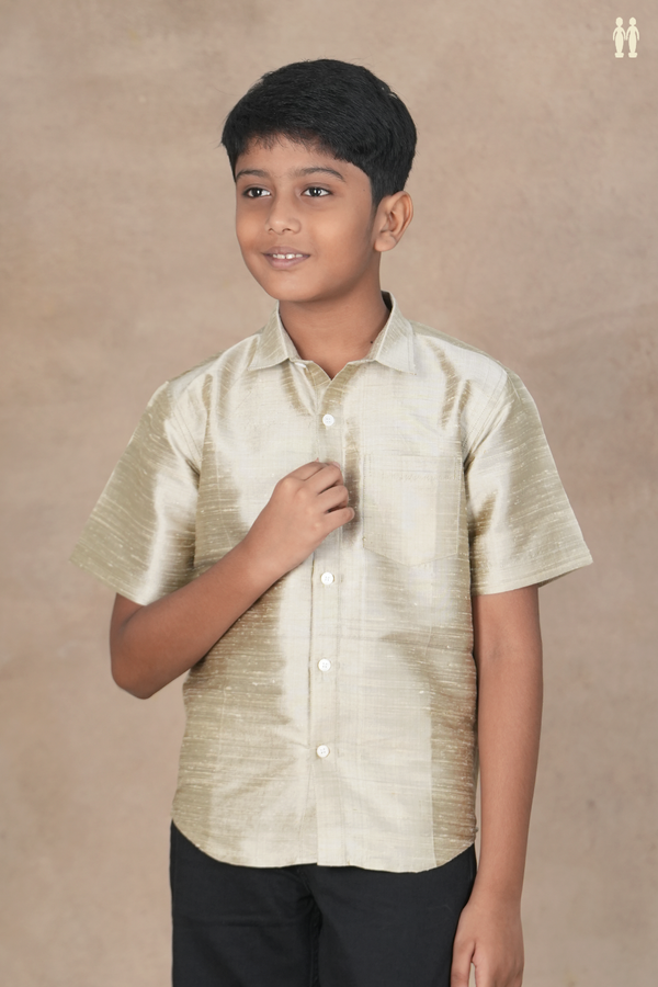 Regular Collar Plain Pastel Khaki Raw Silk Shirt