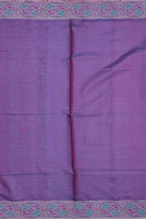 Tussar Silk Saree In Dual Tone With Embroidered Border