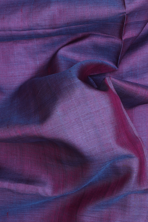 Tussar Silk Saree In Dual Tone With Embroidered Border