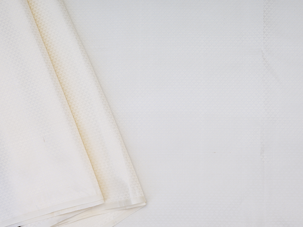 Jacquard Pattern White Kanchipuram Silk Blouse Material