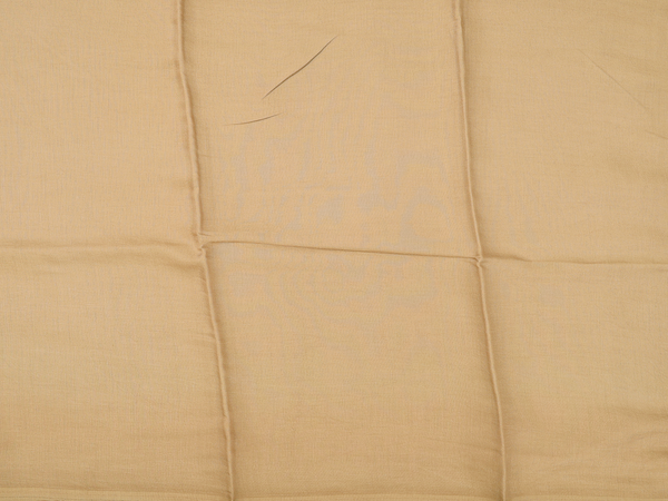 Mirror Buttis Peanut Brown Tussar Unstitched Salwar Material