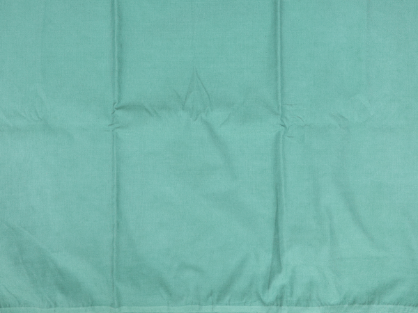 Embroidered Design Green Organza Salwar Material