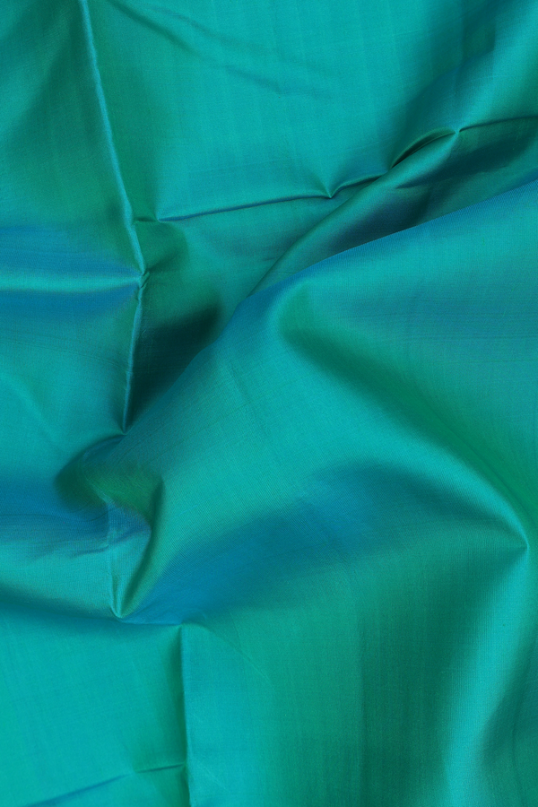 Kanchipuram Nine Yards Silk Saree In Sea Green With Zari Border