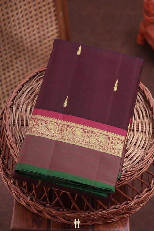Kanchipuram Silk Saree In Chocolate Brown With Zari Buttas