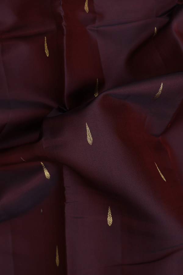 Kanchipuram Silk Saree In Chocolate Brown With Zari Buttas