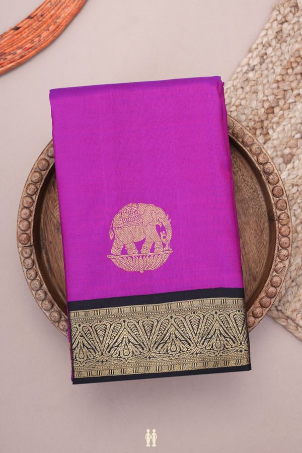 Kanchipuram Silk Saree In Purple With Elephant Motifs