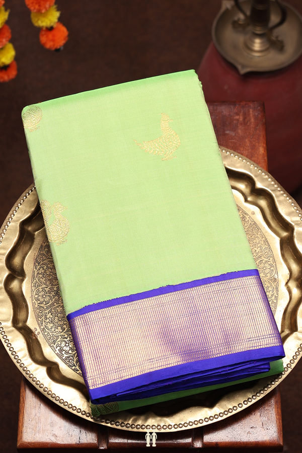 Kanchipuram Silk Saree In Pastel Green With Peacock Buttas