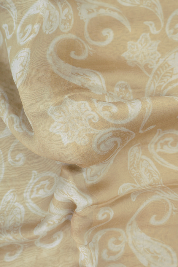 Organza Silk Saree In Light Brown With Paisley Design