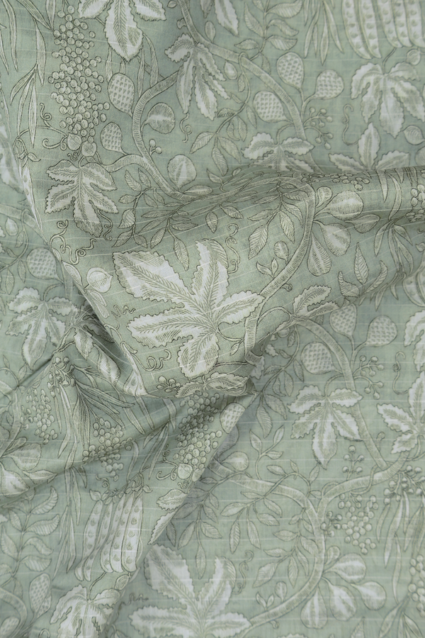 Chanderi Silk Cotton Saree In Sage Green With Printed Design