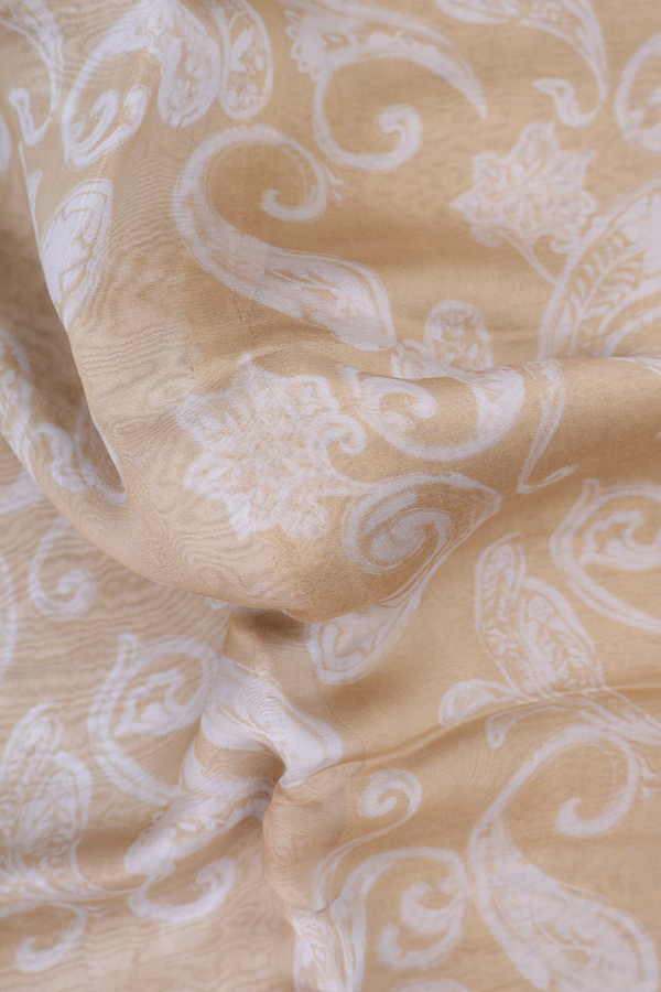 Organza Silk Saree In Light Brown With Paisley Design